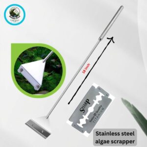 Stainless steel algae scraper for aquarium glass cleaning