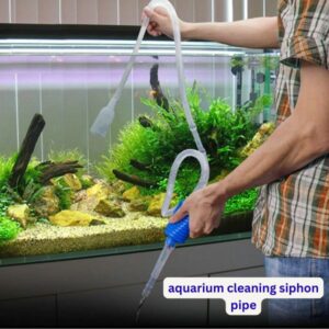 Fish tank cleaning siphon