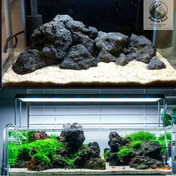 Natural black lava rock aquarium decoration stone from Bubble Nest