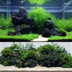 Natural black lava rock texture for aquarium aquascaping and hardscape design