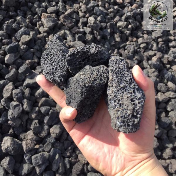 Black lava stone for planted aquarium layouts and aquascaping designs