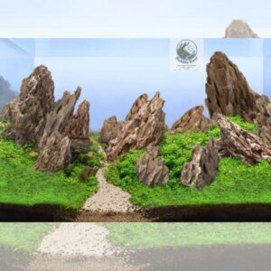 Dragon Rock aquarium decoration stone available at Bubble Nest Bangladesh