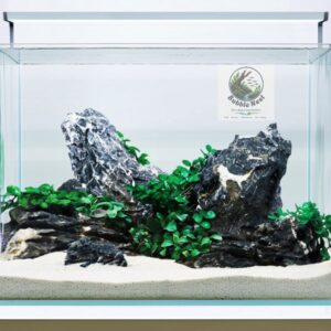 Seiryu Rock aquarium decoration stone from Bubble Nest Bangladesh