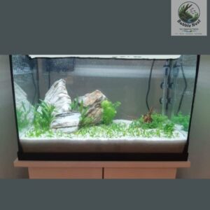 White sand substrate for freshwater aquariums and fish tanks